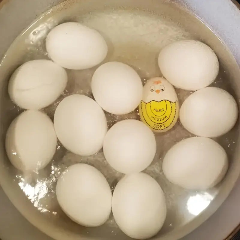 Minuteur à Œufs avec Indicateur de Cuisson