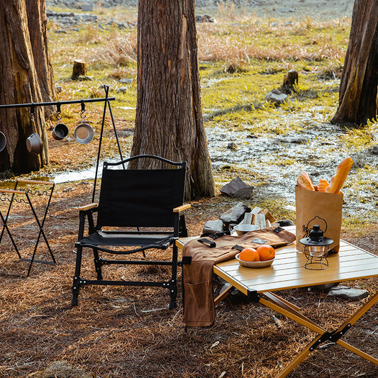Chaise de Camping extérieure Portable, chaise pliante, relaxation, ultralégère