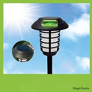 LED flamme solaire lumière jardin pelouse lumière