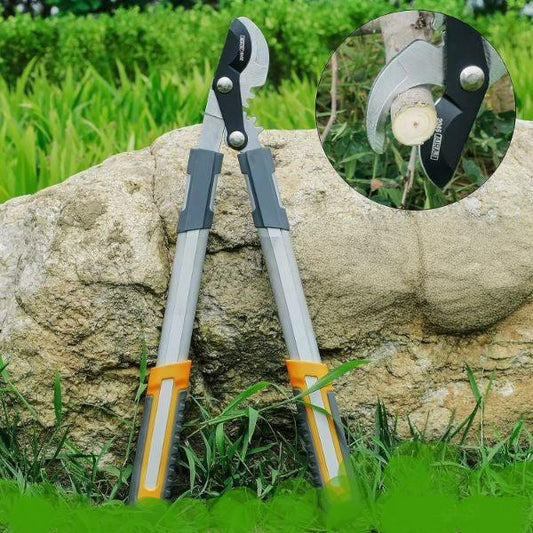 Ciseaux à branches rugueuses.