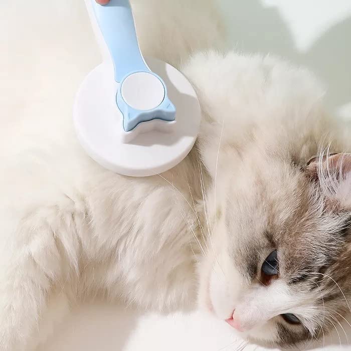 Brosse Lissante et Autonettoyante pour Chiens et Chats
