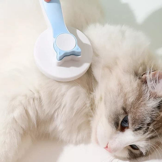 Brosse Lissante et Autonettoyante pour Chiens et Chats