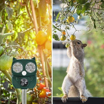 Répulsif Ultrasonique Solaire protégé pour Animaux avec Détection de Mouvement et Lumière LED