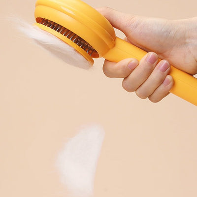 Brosse pour animaux de compagnie