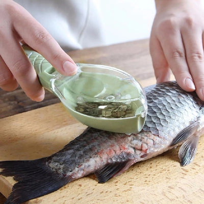 Grattoir à écailles de poisson domestique